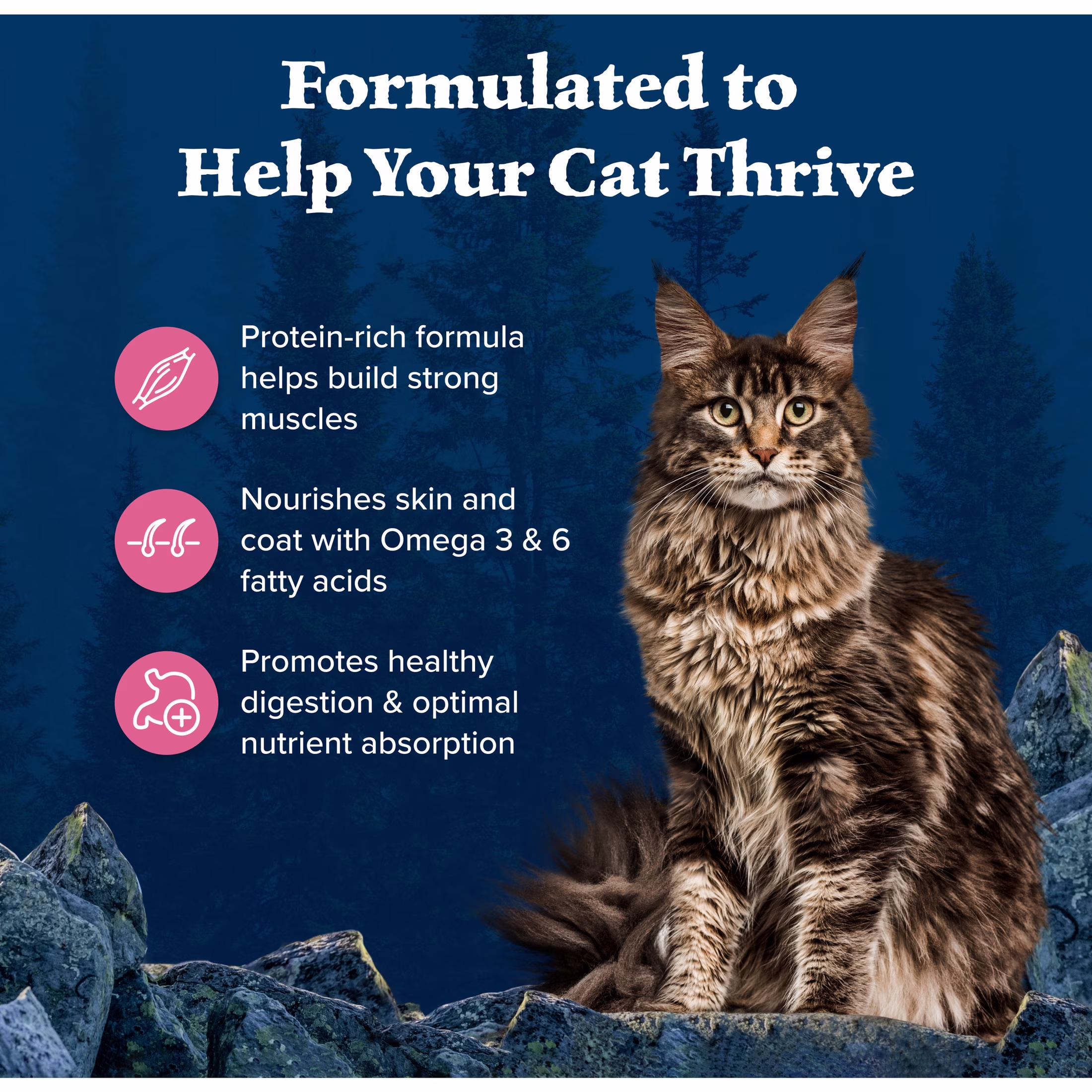 Blue Buffalo Wilderness Natural High Protein Adult Dry Cat Food (Salmon, 11 lb) DCtPk - Image 10