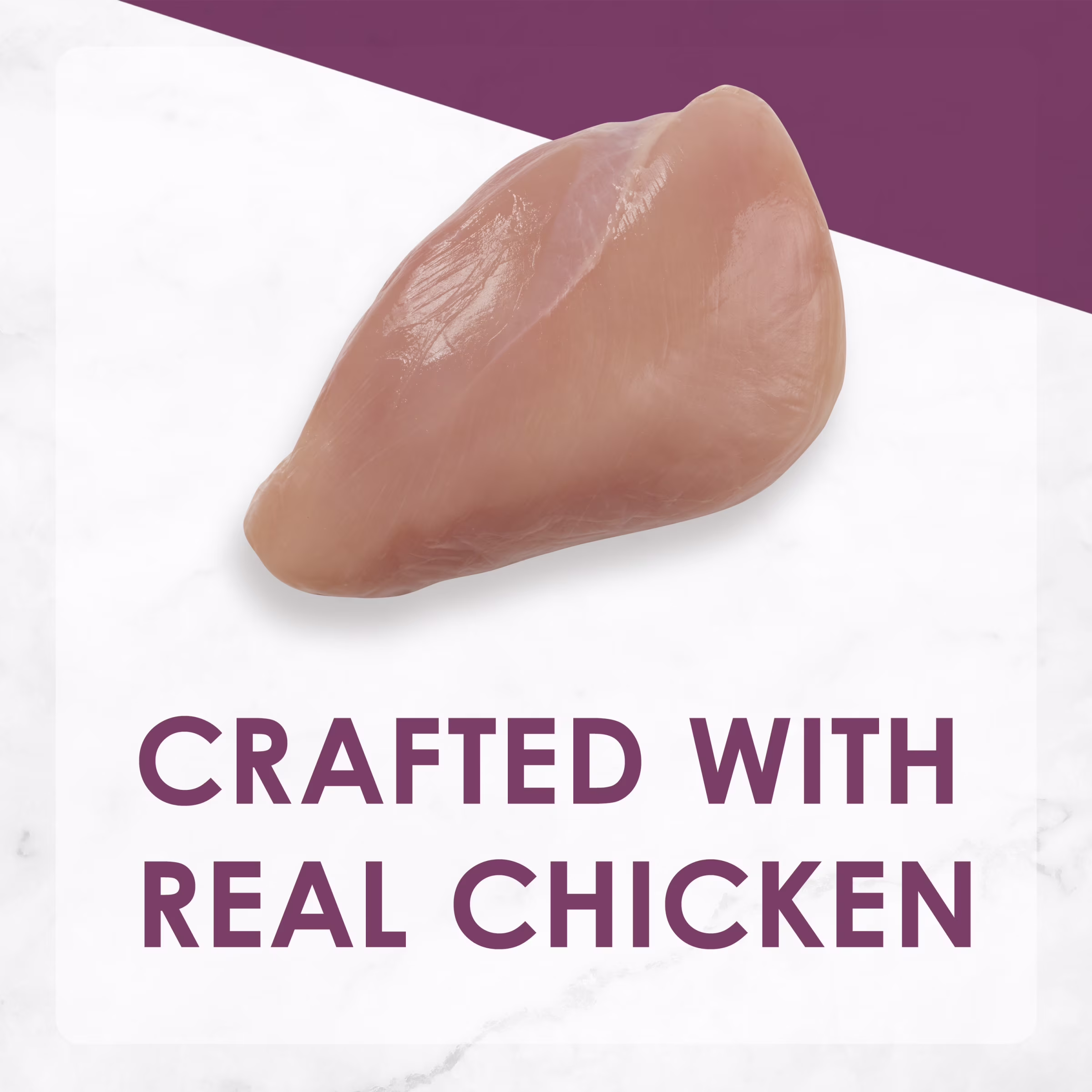 Fancy Feast Grilled Chicken Feast Wet Cat Food (Chicken, 12 Pack of 3 oz) gvswr