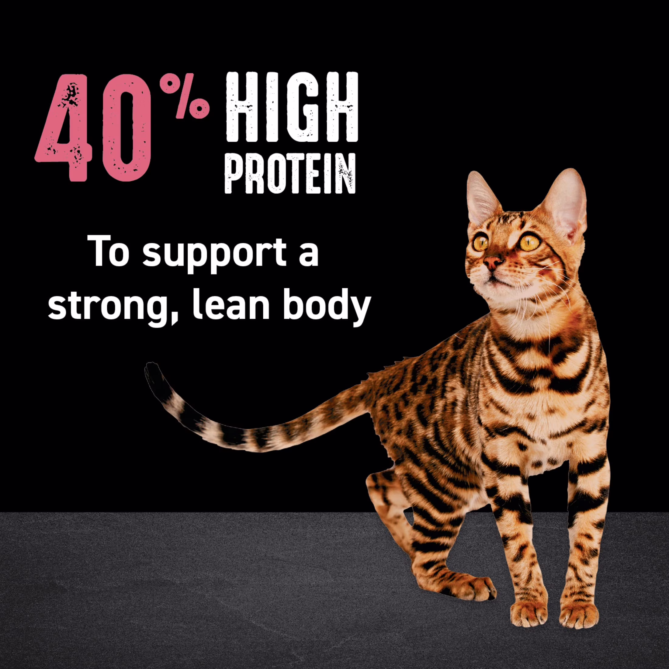 Crave Grain Free Indoor Adult Dry Cat Food, High Protein Chicken & Salmon Recipe (4 lb) DdRVX - Image 5