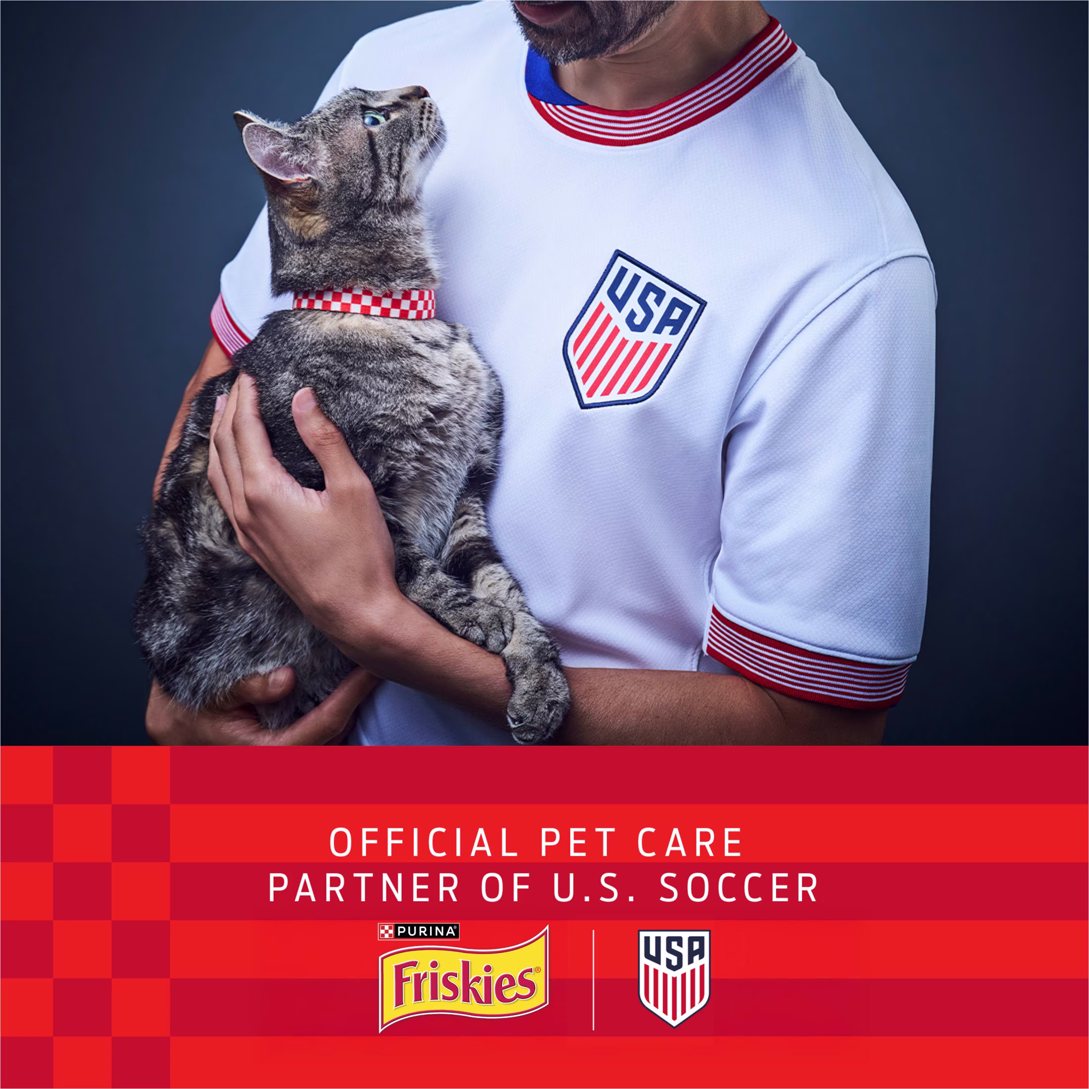 Friskies Tasty Treasures Prime Filets Wet Cat Food, Tuna & Scallop Flavor (5.5 oz) 4xmeB - Image 3