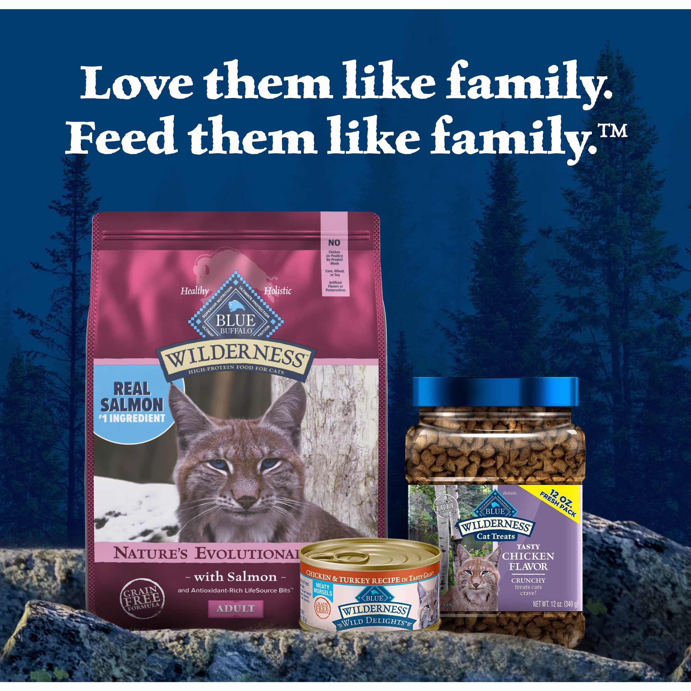 Blue Buffalo Wilderness Natural High Protein Adult Dry Cat Food (Salmon, 11 lb) DCtPk - Image 5