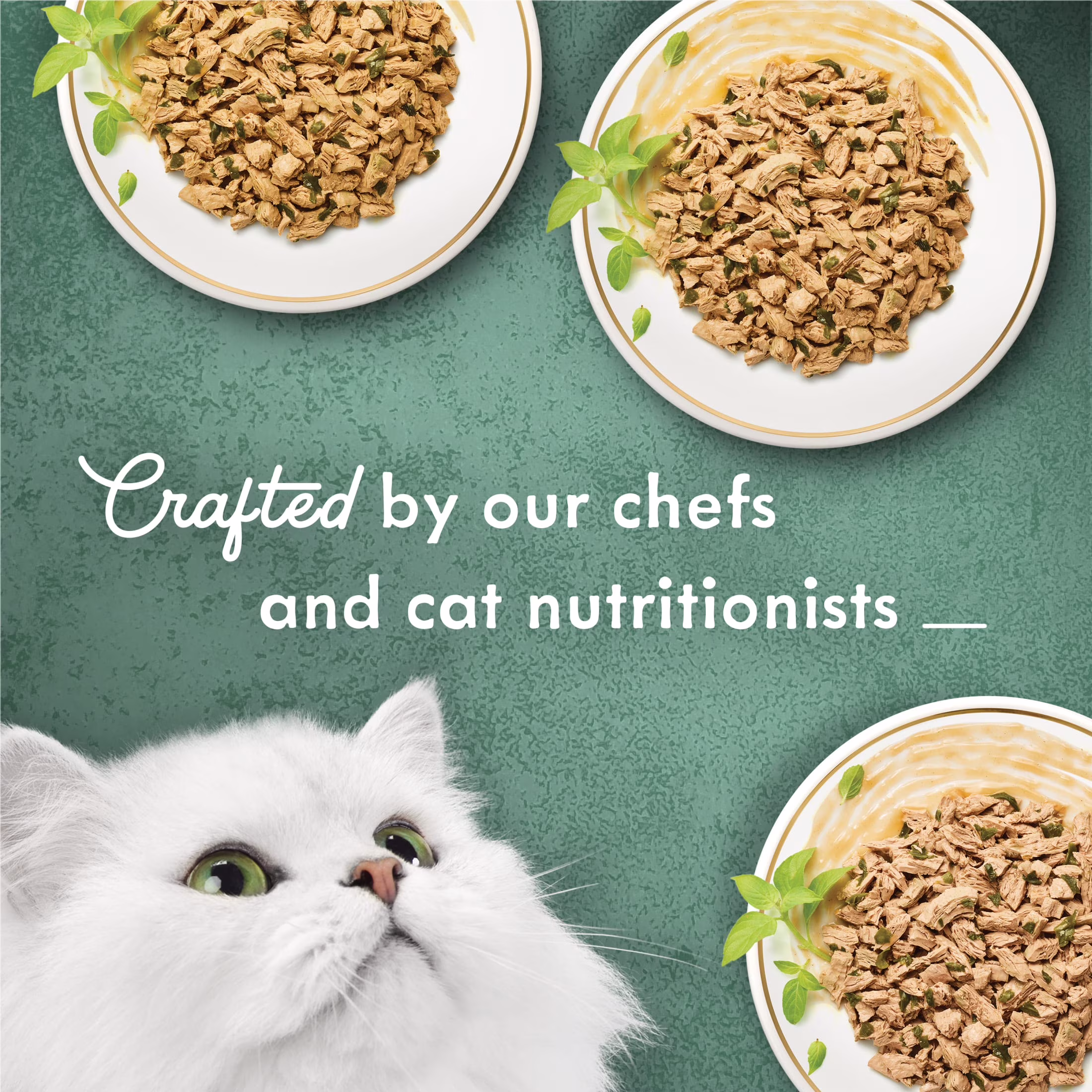 Fancy Feast Medleys Shredded Fare Wet Cat Food Variety Pack (12 Count, 3 oz) TtKTd - Image 5