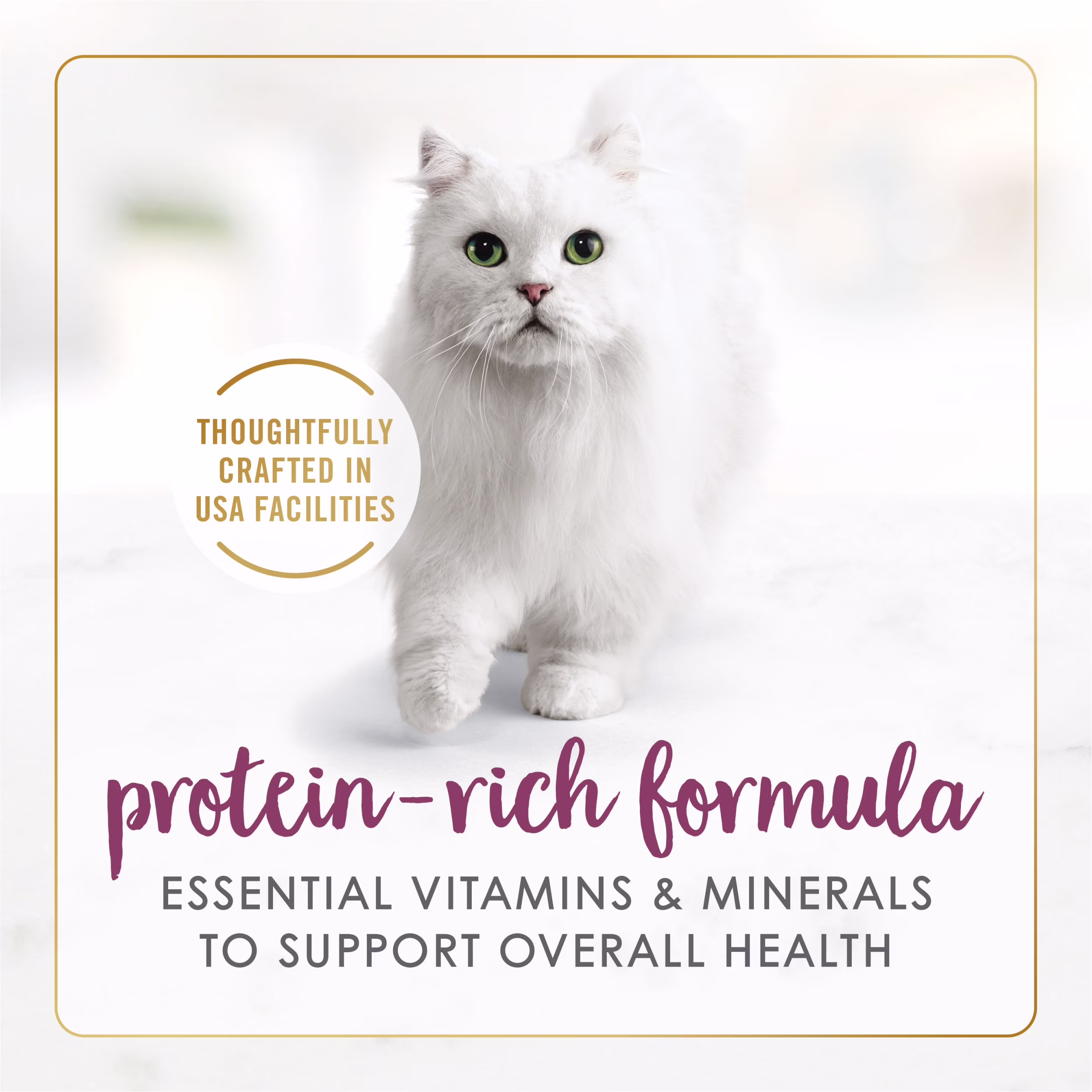 Fancy Feast Grilled Chicken Feast Wet Cat Food (Chicken, 12 Pack of 3 oz) gvswr