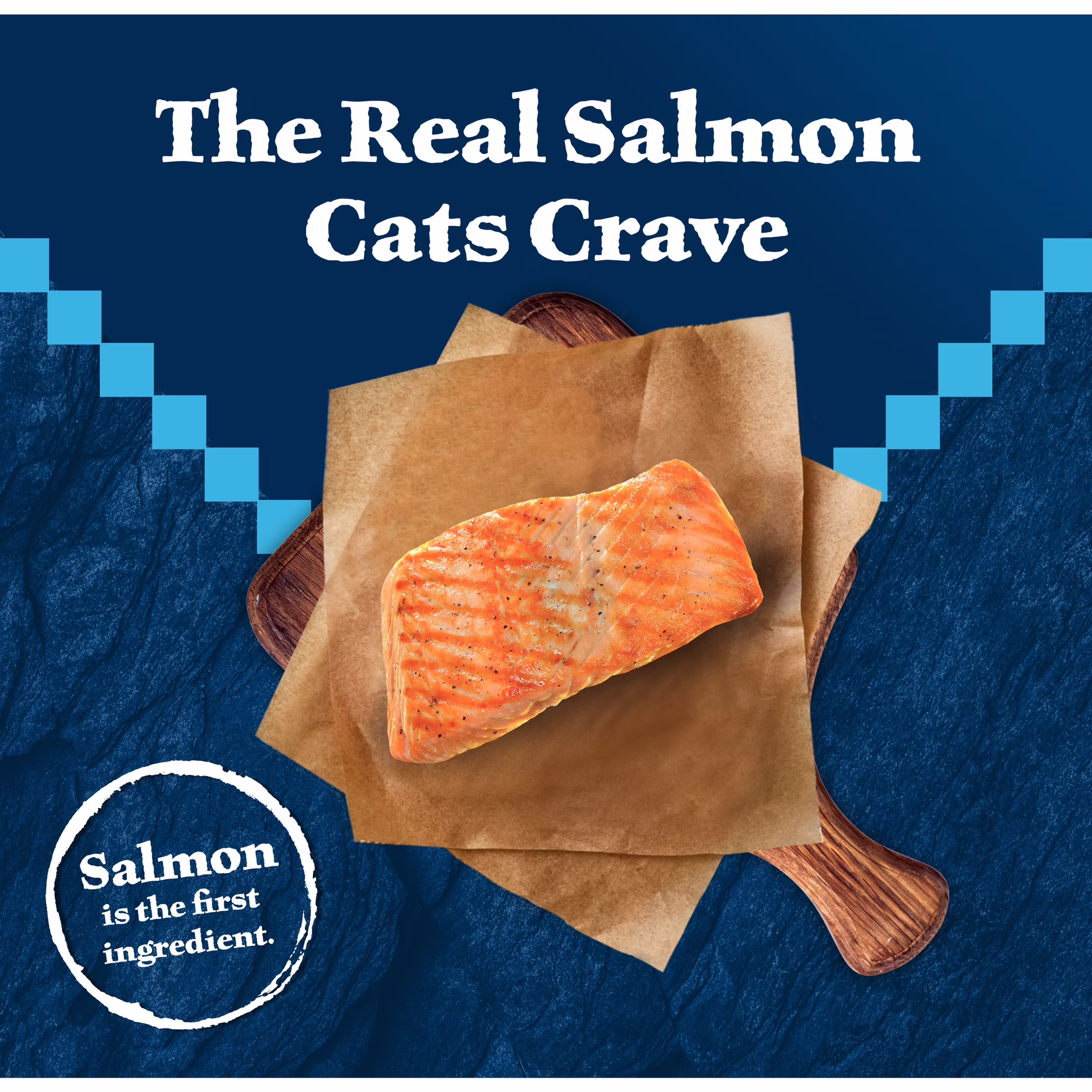 Blue Buffalo Wilderness Natural High Protein Adult Dry Cat Food (Salmon, 11 lb) DCtPk - Image 9