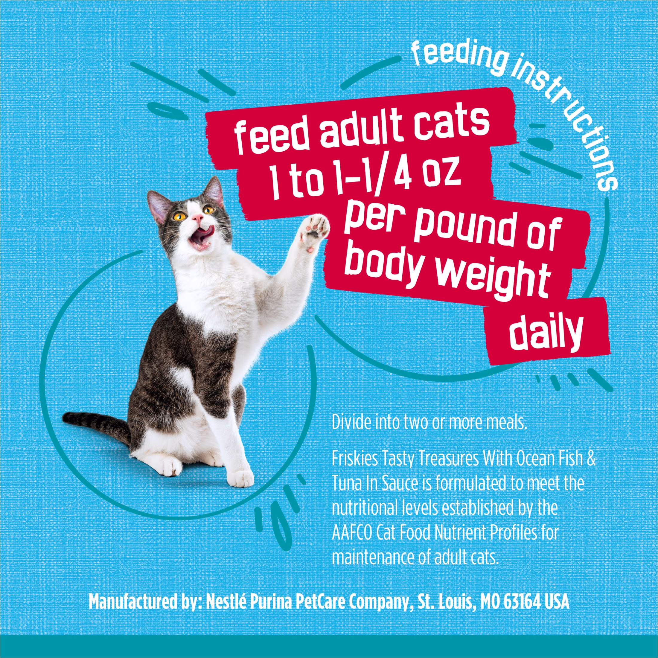 Friskies Tasty Treasures Prime Filets Wet Cat Food, Tuna & Scallop Flavor (5.5 oz) 4xmeB - Image 9