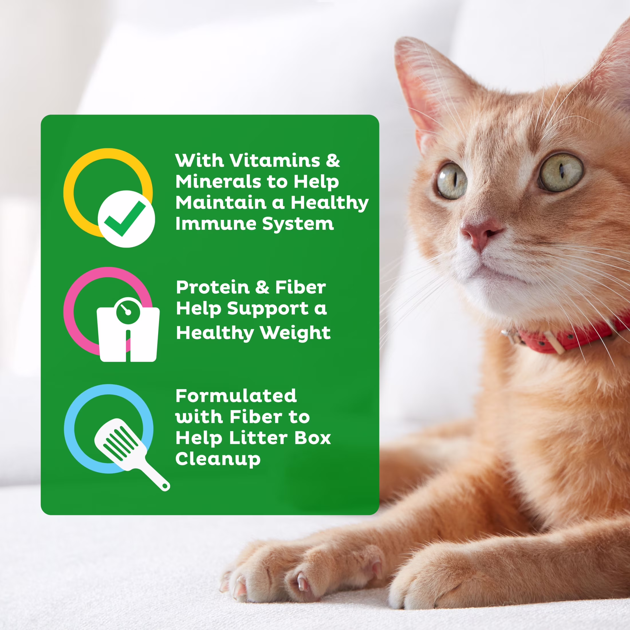 9Lives Indoor Essentials Dry Cat Food, Chicken & Salmon Flavor (20 lb) PUlLp