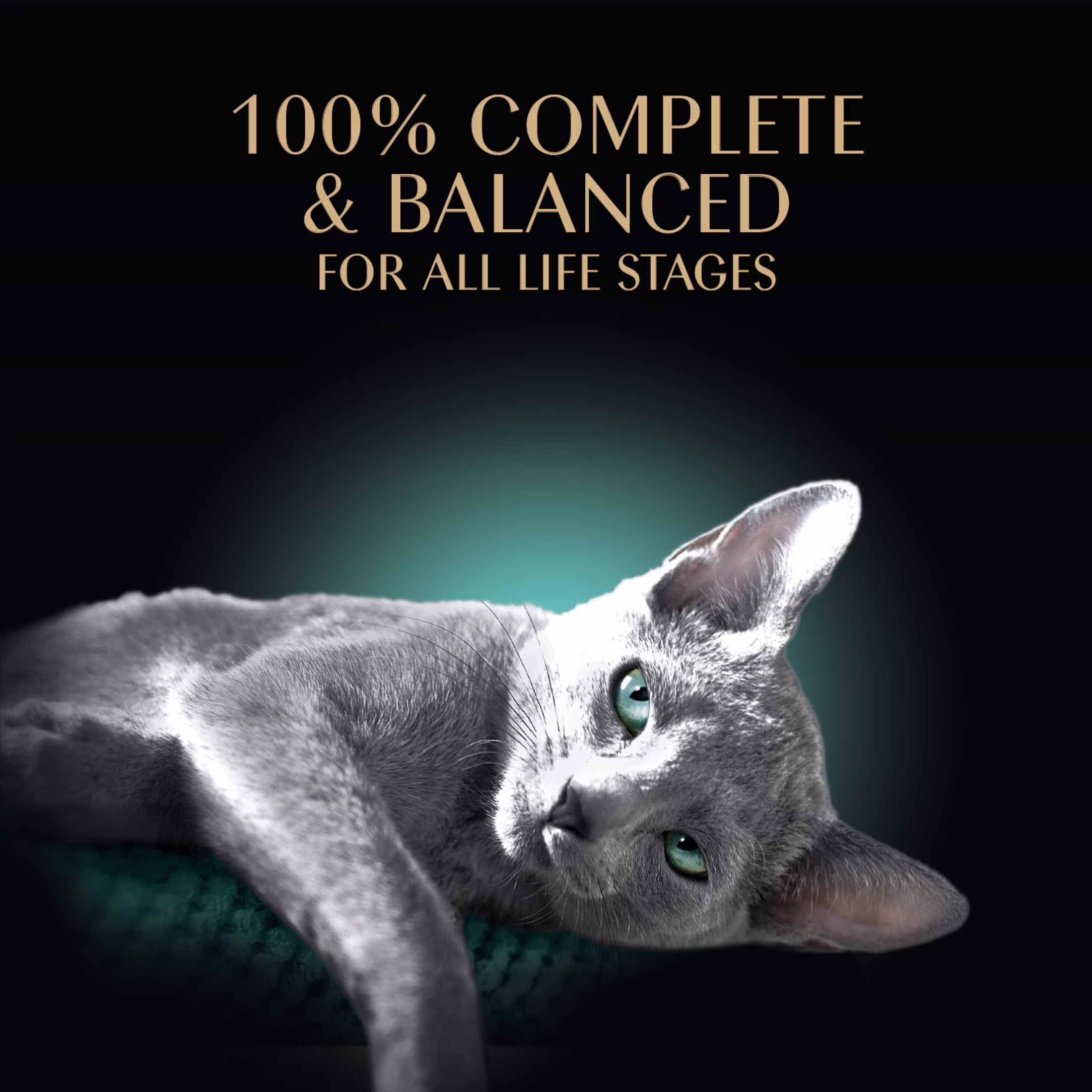 Sheba Perfect Portions Sustainable Salmon Pate Wet Cat Food (2.6 oz Twin-Pack Tray) jEnpV - Image 9