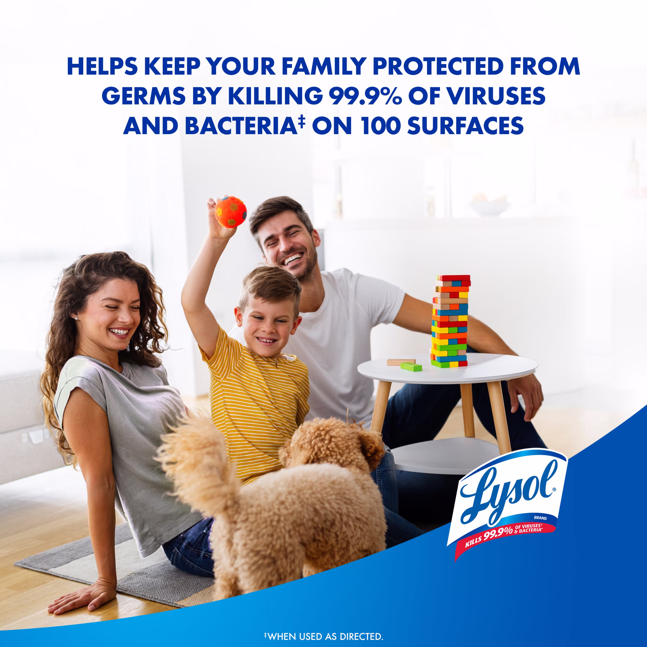 Lysol Disinfectant Spray, Antibacterial Sanitizer and Deodorizer, Early Morning Breeze (6 Pack, 19 oz) A172L