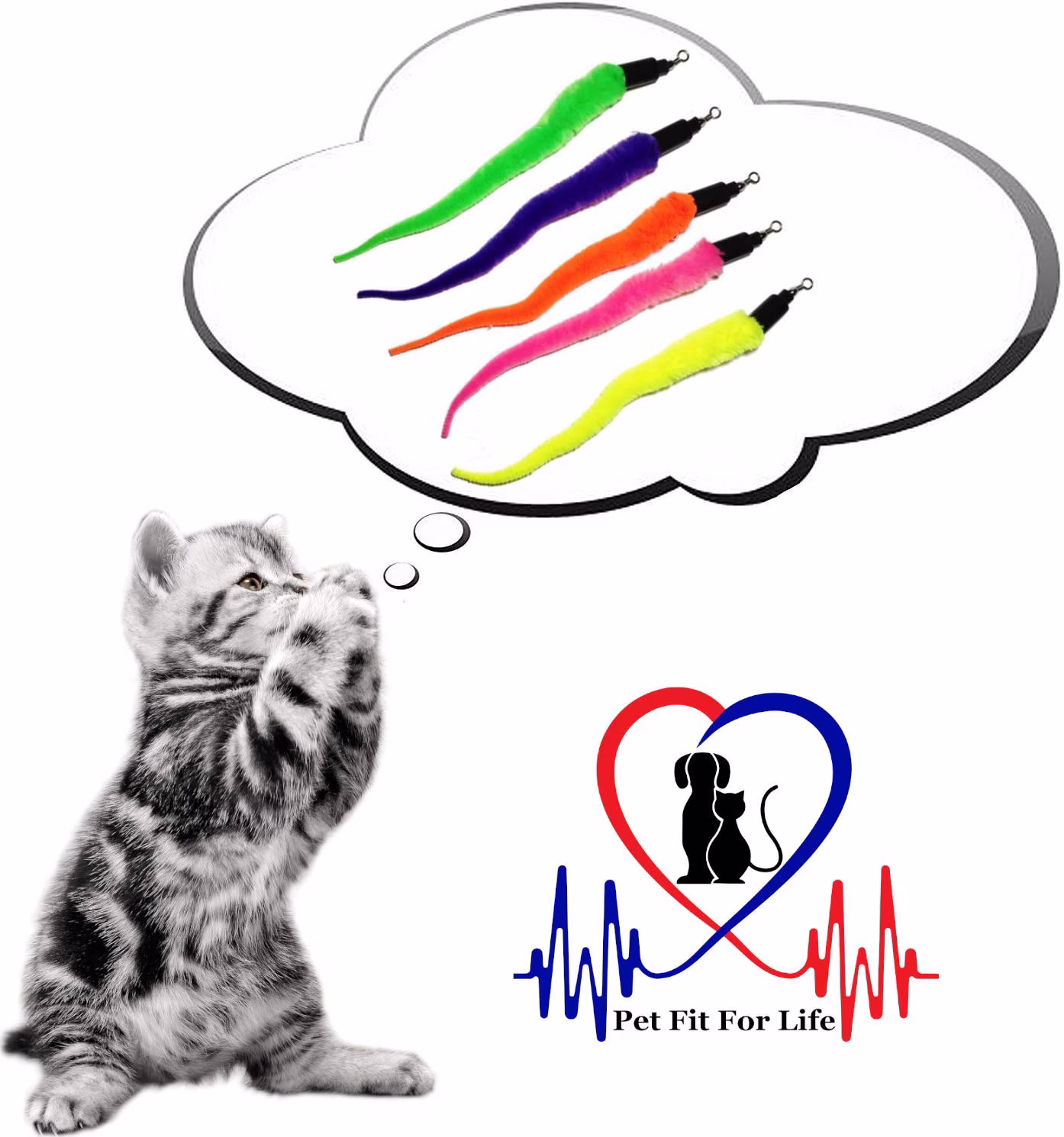 Pet Fit For Life Retractable Cat Wand Toy with 5-Piece Worm Teaser Attachment (Blue, 5-Pack) Van5D