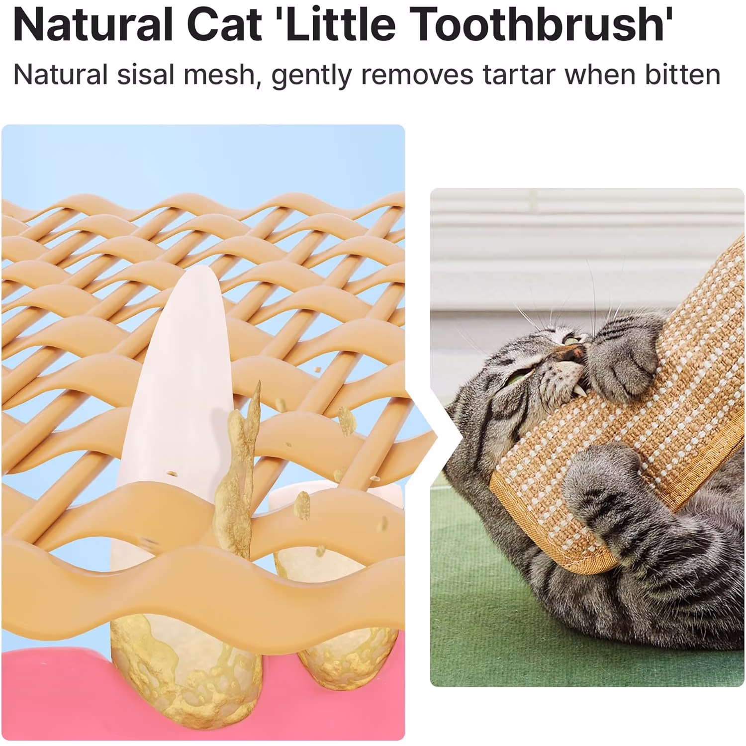 Alausala Catnip Kicker Toys for Indoor Cats, Sisal Scratching Pad, Bite Resistant Teething Toy (2 Pack, 13.4 in x 3.7 in) 30pJD - Image 7