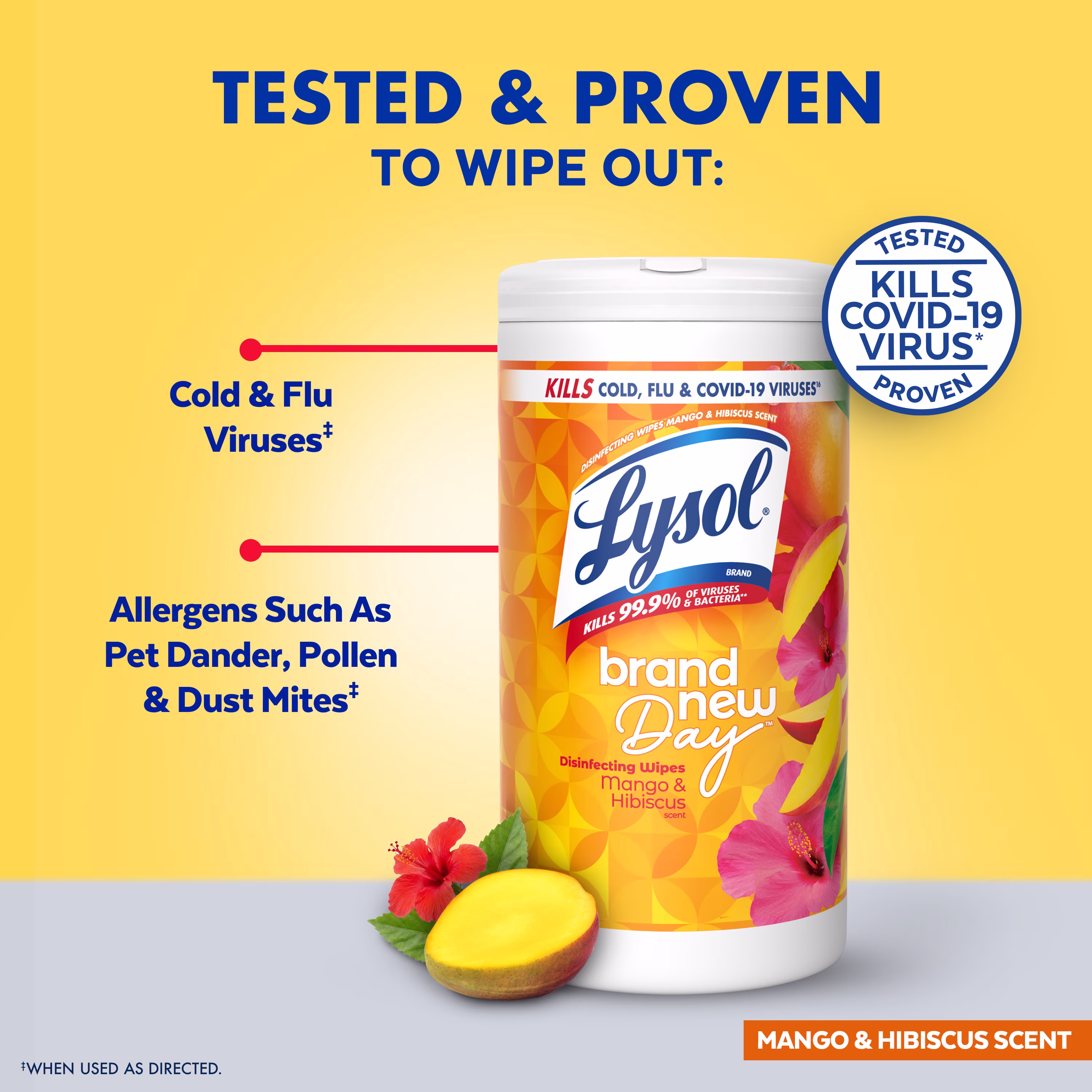 Lysol Disinfecting Wipes, Multi-Surface Antibacterial Cleaning Wipes, Mango & Hibiscus Scent (White, 80 Count) Ns1fM