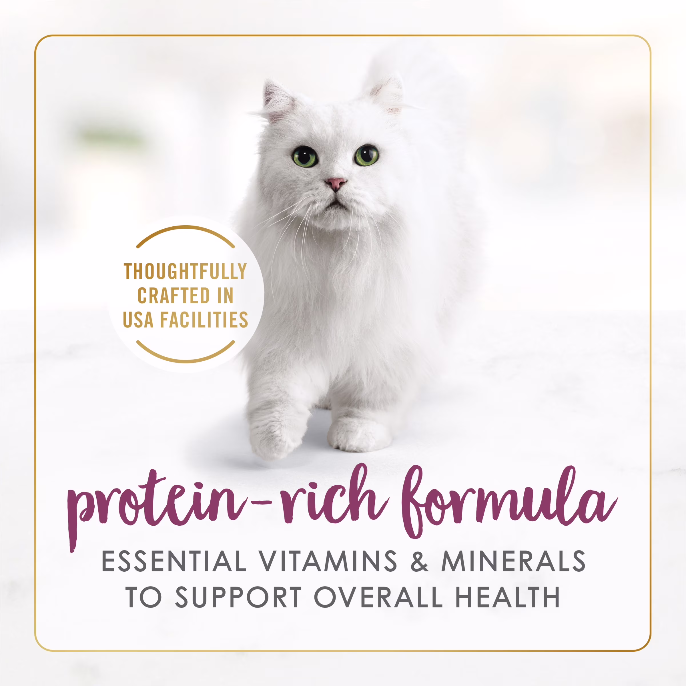 Fancy Feast Grilled Chicken Feast Wet Cat Food (Chicken, 12 Pack of 3 oz) gvswr