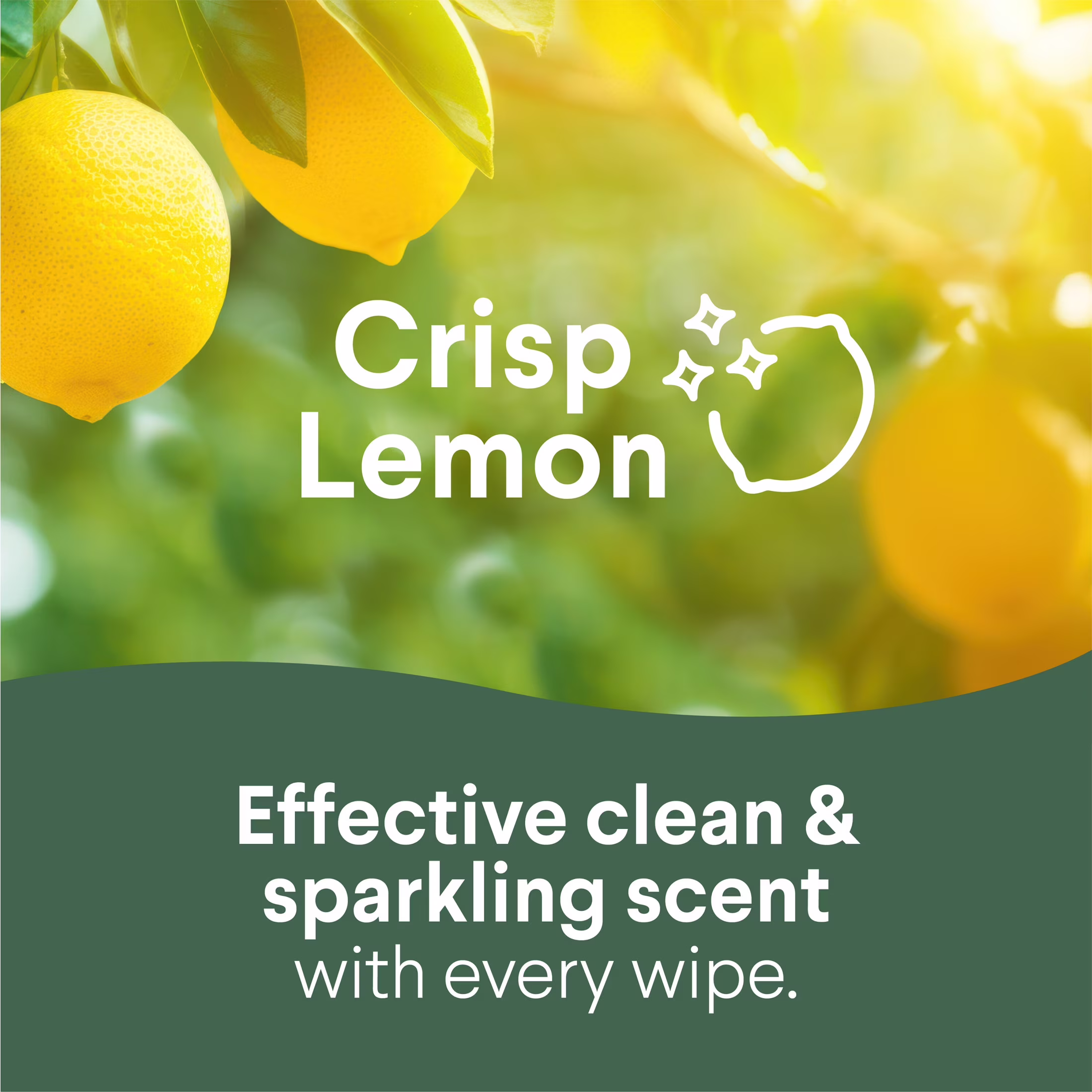 Clorox Disinfecting Cleaning Wipes Variety Pack (Fresh Scent and Crisp Lemon, 105 Count) bbW4p