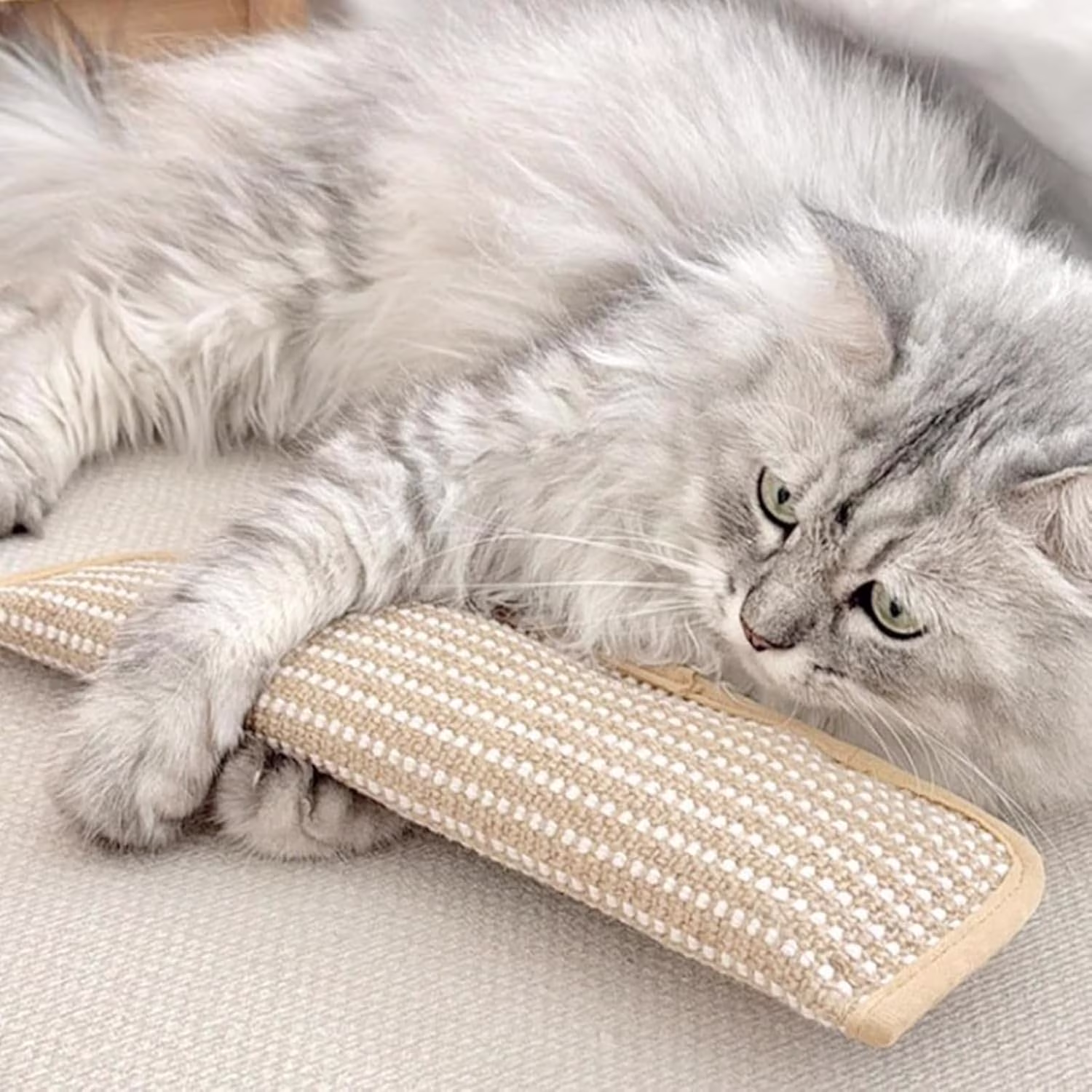 Alausala Catnip Kicker Toys for Indoor Cats, Sisal Scratching Pad, Bite Resistant Teething Toy (2 Pack, 13.4 in x 3.7 in) 30pJD