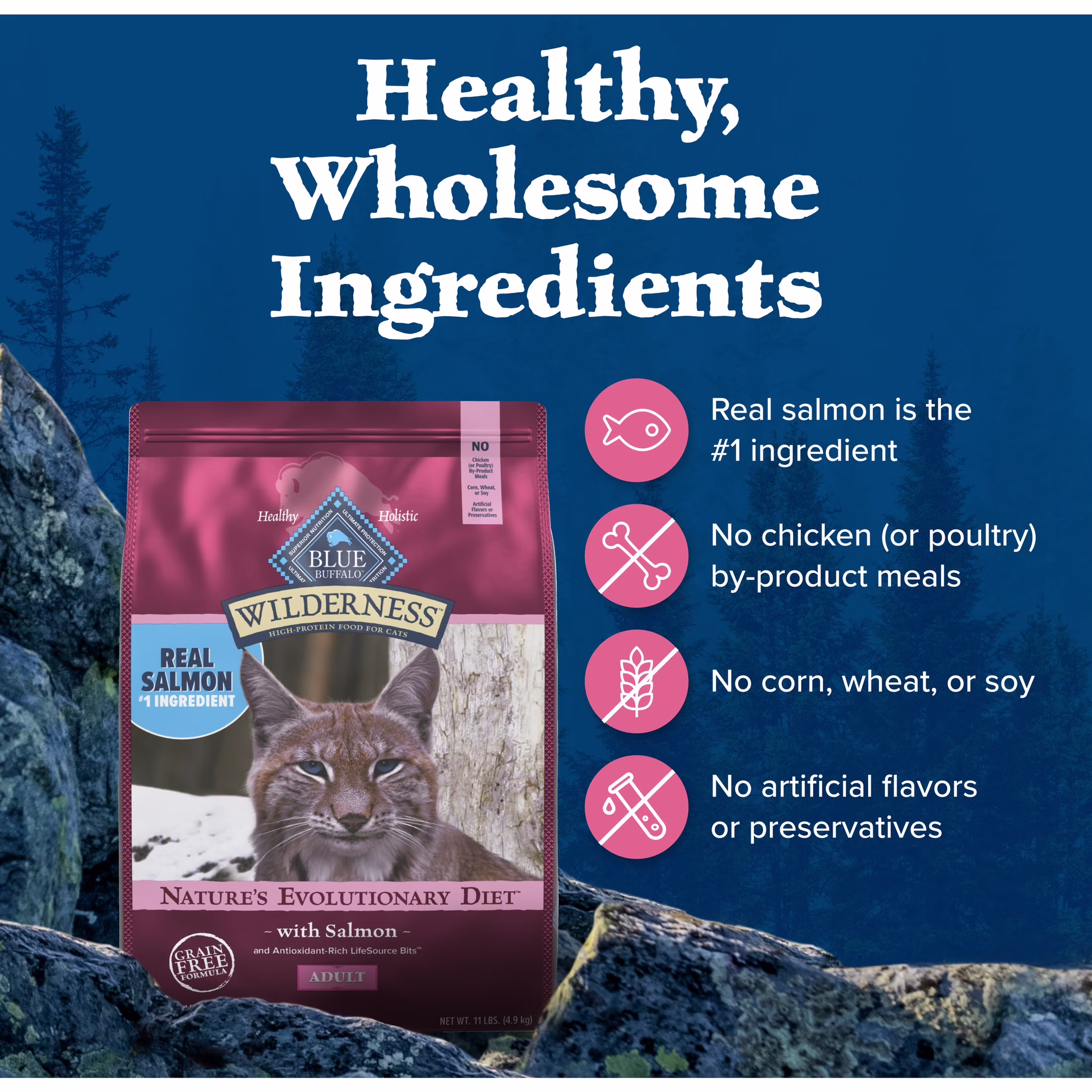 Blue Buffalo Wilderness Natural High Protein Adult Dry Cat Food (Salmon, 11 lb) DCtPk - Image 4
