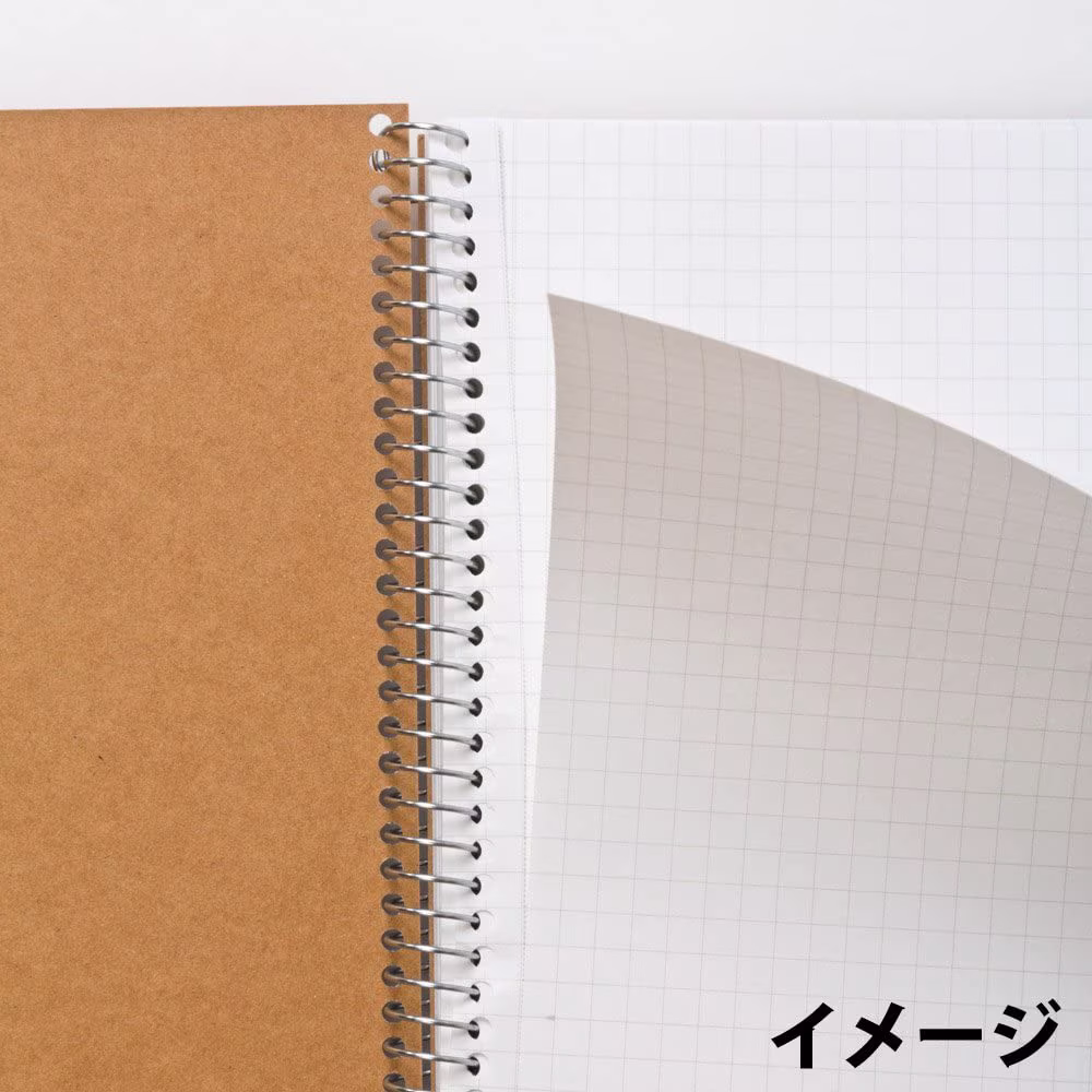 Maruman B6 Spiral Graph Notebook, Smooth Writing Paper, Perforated Sheets (White, 5 Pack) Ykicq